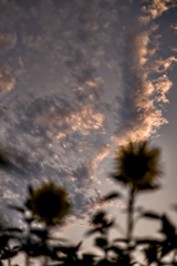 雲の道標