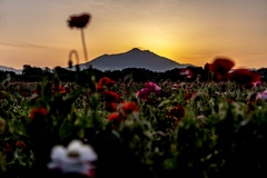 筑波山