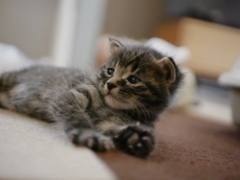 初パシャリ。