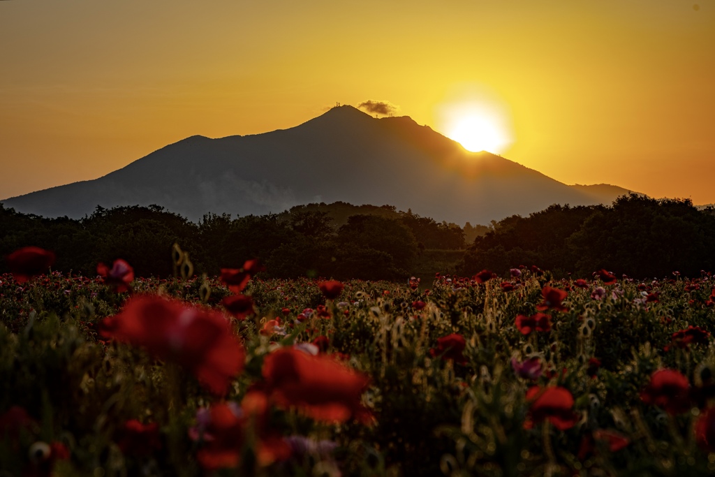 筑波山