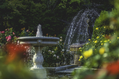 公園