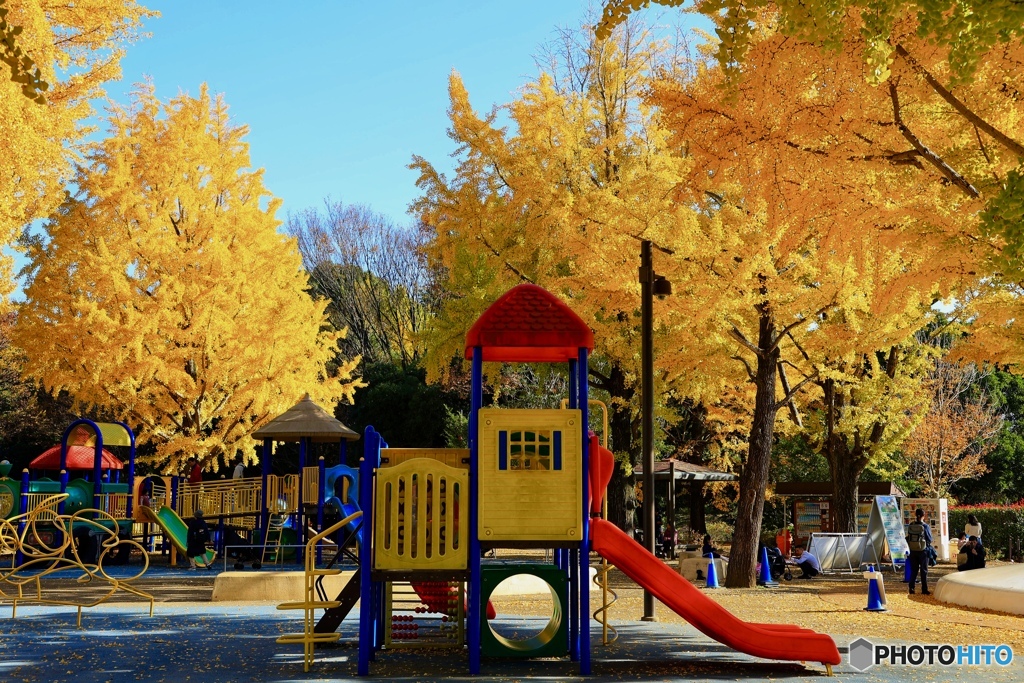 黄色い公園