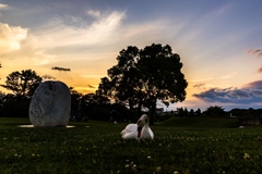 夕景