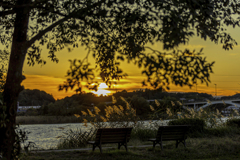 夕景