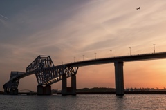 ゴジラ橋