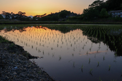 夕空リフレクション