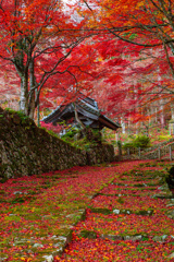 秋の百済寺