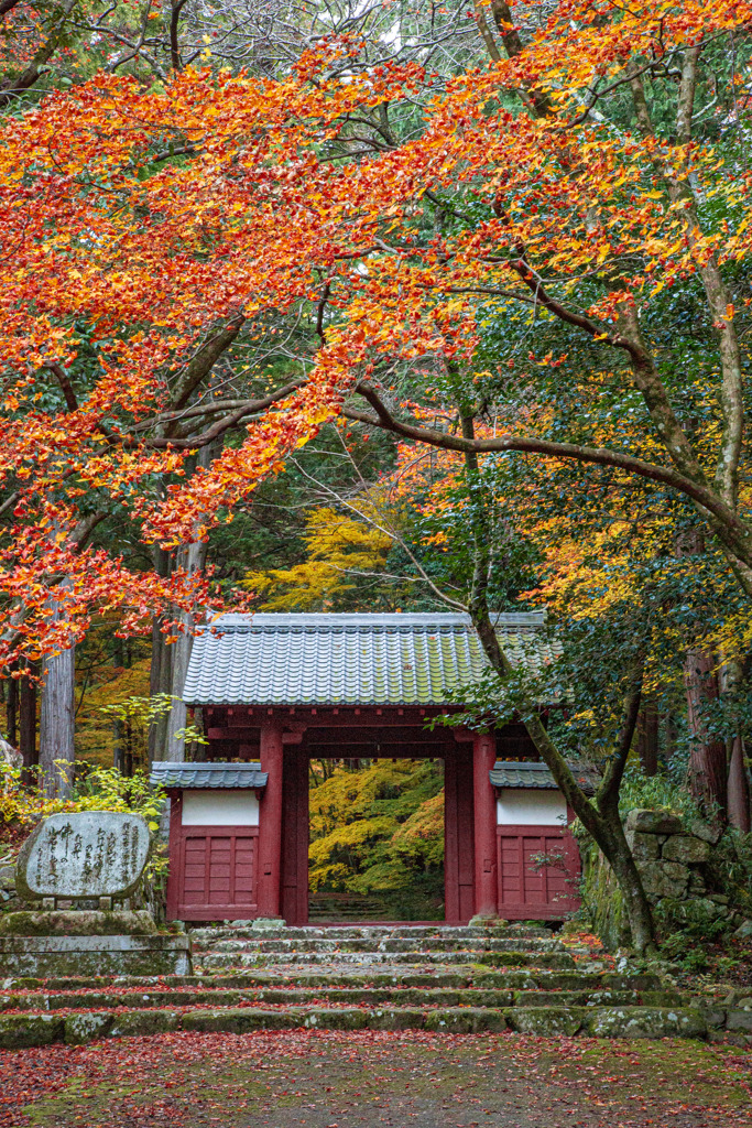 秋の百済寺