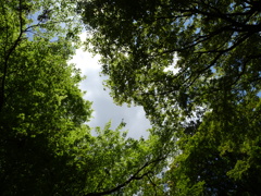 DSC00489