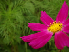 DSC00740