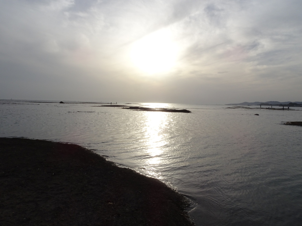 DSC00601