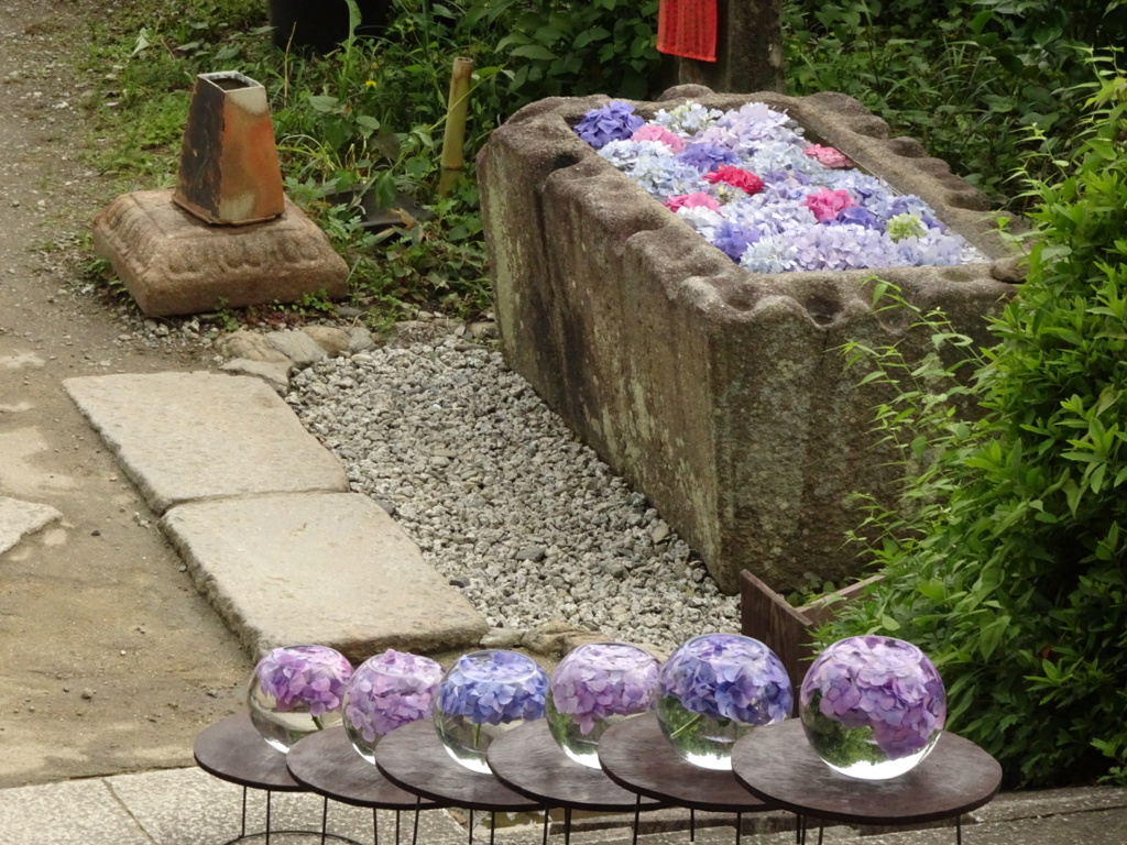DSC00715