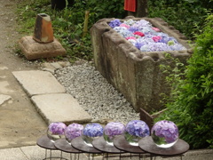 DSC00715