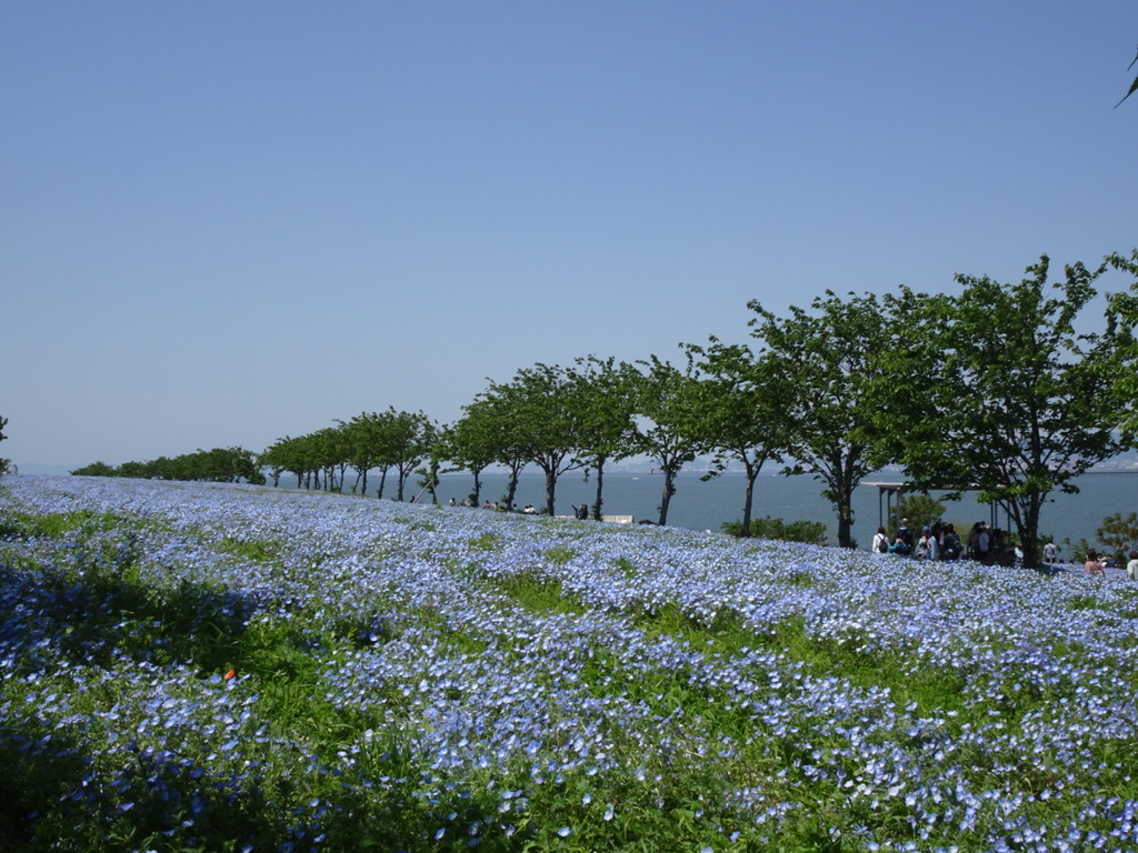 DSC00545