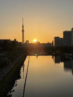 夕焼け