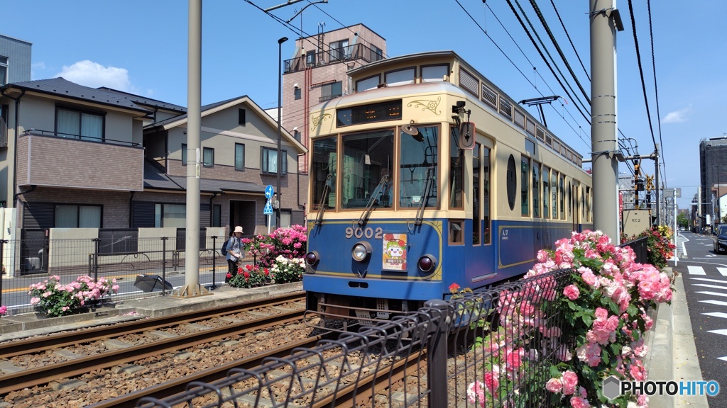 都電バラ号 (期間限定車両) とバラ