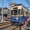 都電バラ号 (期間限定車両) とバラ