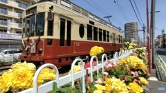 都電バラ号 (期間限定車両) とバラ