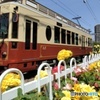 都電バラ号 (期間限定車両) とバラ