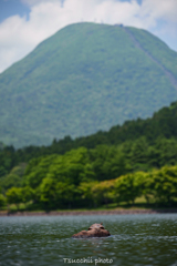 亀と山