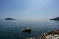 海