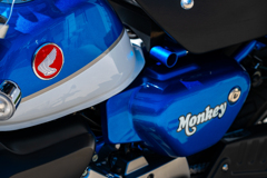 monkey125