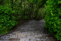 小山の階段