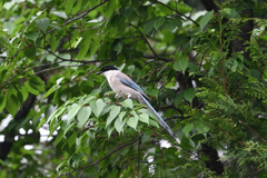 DSC_2234_2883_