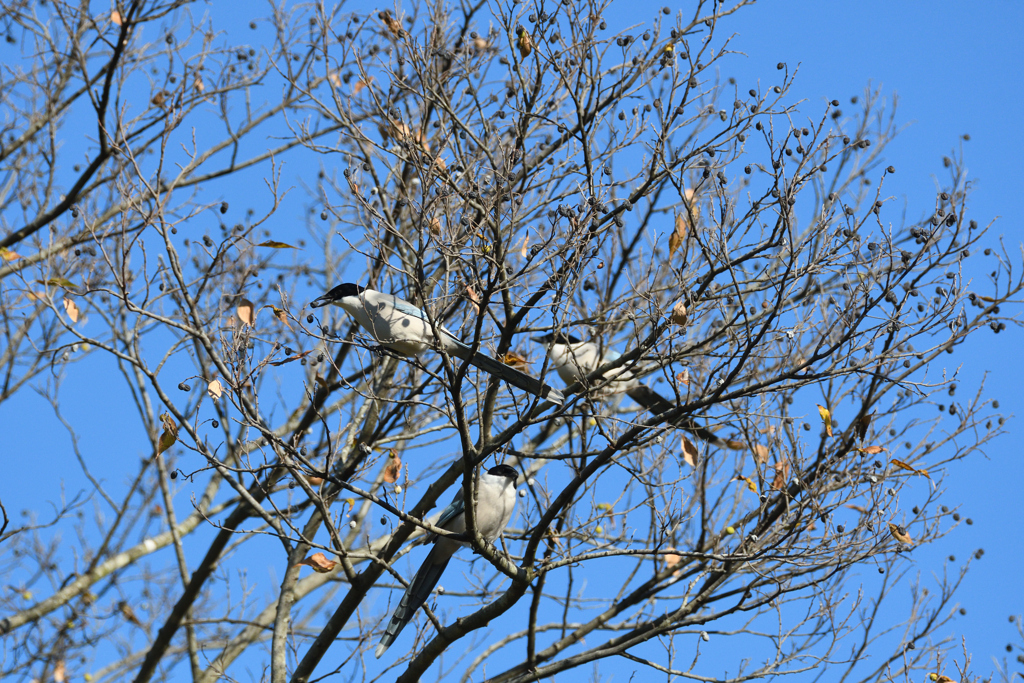 DSC_3892_2391_