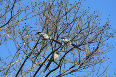 DSC_3892_2391_