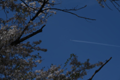 DSC_1335_2743_
