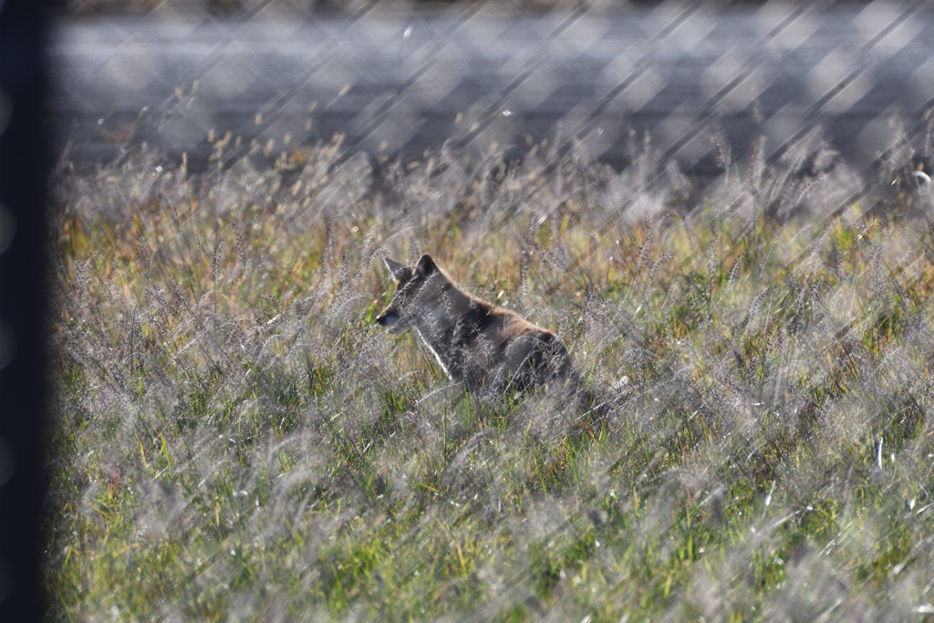 DSC_3624_2370_