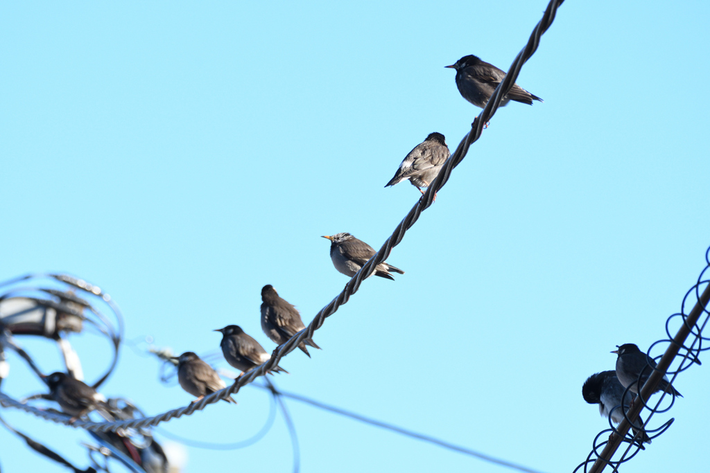 DSC_6970_2440_