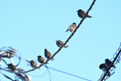 DSC_6970_2440_