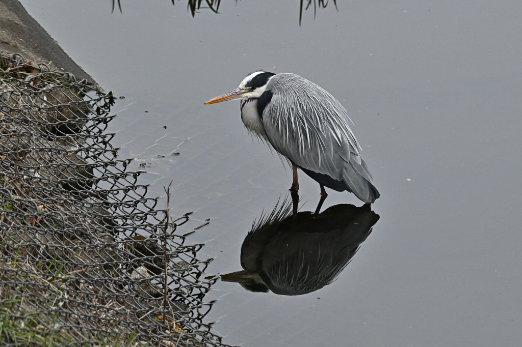DSC_0375_2540_