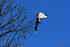 DSC_3897_2392_