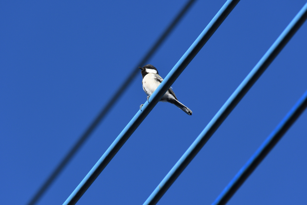 DSC_6978_2443_