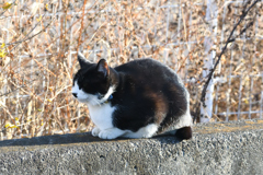 DSC_4003_2403_