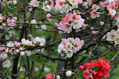 DSC_0876_2645_