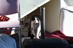 DSC_6979_2444_