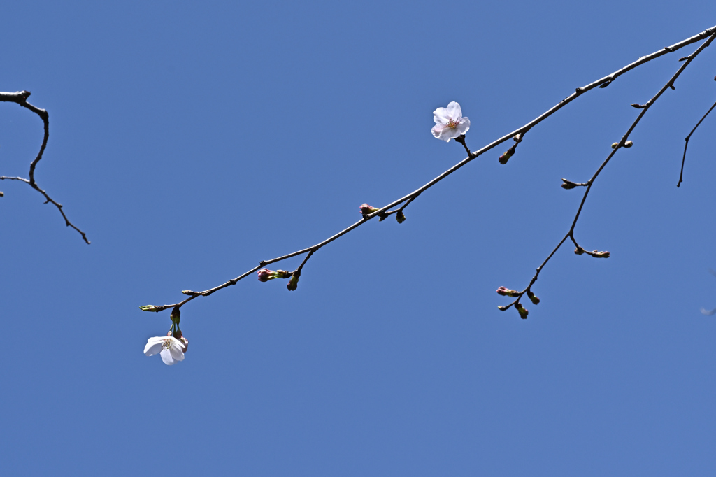 DSC_0589_2577_