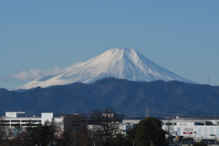 DSC_6976_2442_