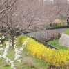 春の小川
