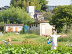 私たちが守る！