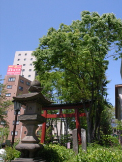 新緑とビルと青空