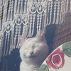 まだ眠いニャー