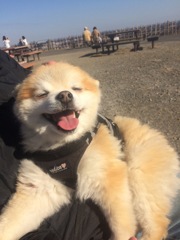 浮かぶあの笑顔