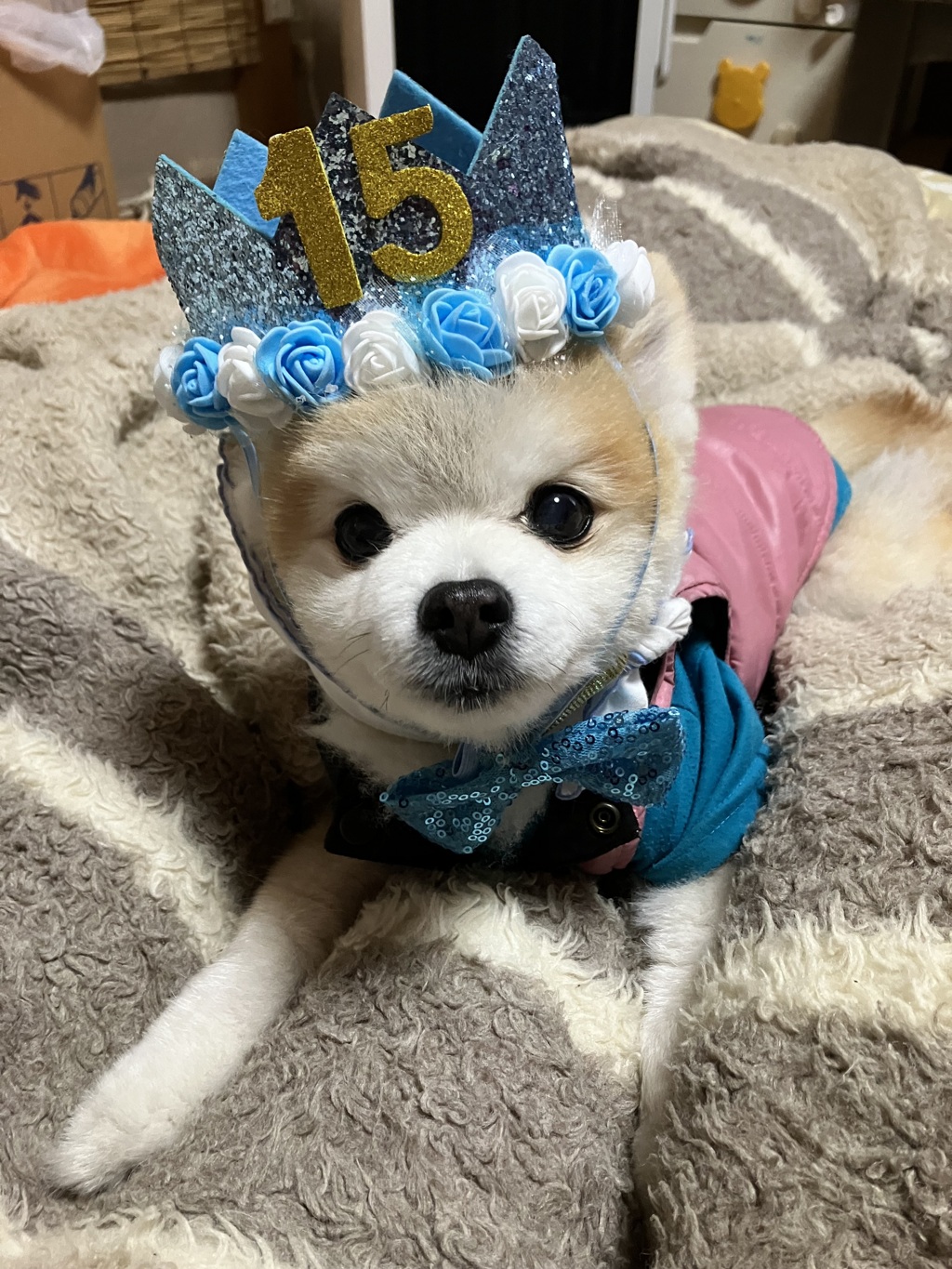 15歳おめでとう！