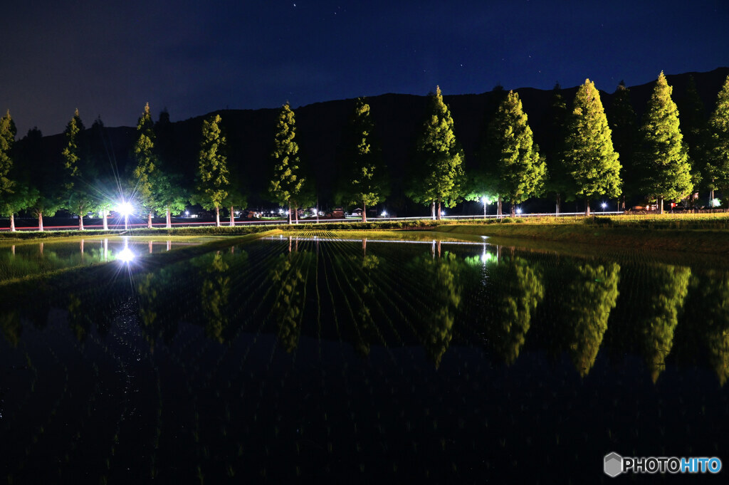 夜の水鏡