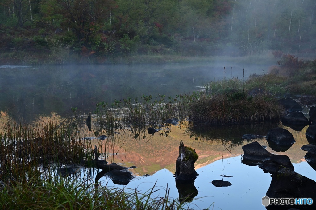 池霧の間から